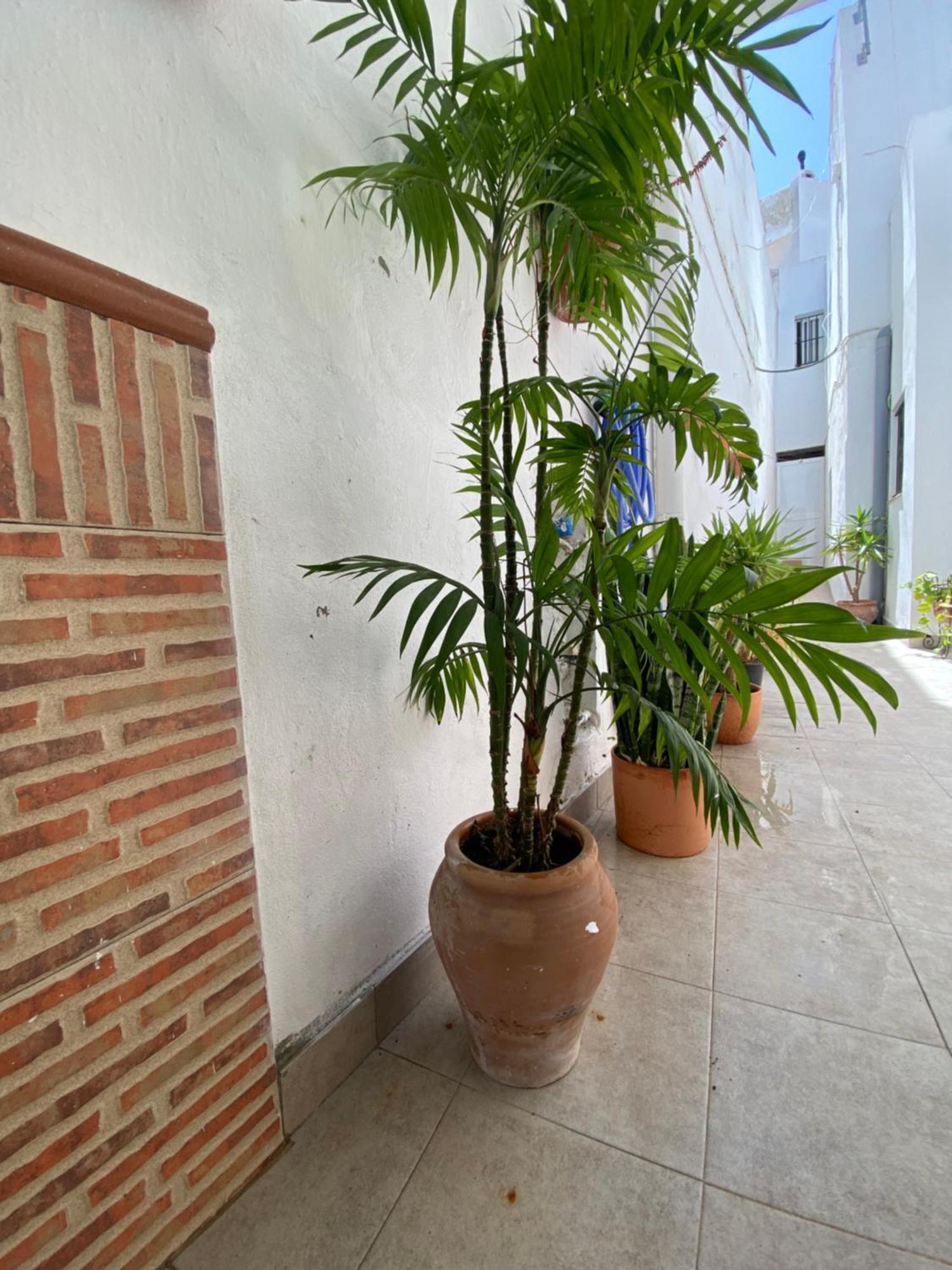 Casa Calle Vejer de la Frontera Dış mekan fotoğraf